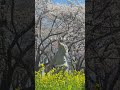 2026年5月19日