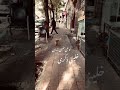 خليني ذكرى وائل جسار