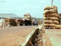 Cashew: Nigeria's Untapped Gold Mine