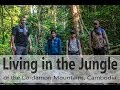 Life in the jungle of cambodia