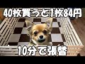 【チワワ・愛犬】ワンちゃんの為に吸着カーペット張替、所要時間10分　簡単激安1枚84円