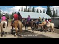 HORSE BACK RIDING ADVENTURE -LAKE LOUISE, ALBERTA, CANADA