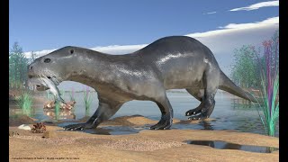 From Land to Sea: The Early Evolution of Pinnipeds