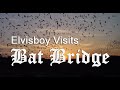 Elvisboy visits Bat Bridge in Valle Vista near Hemet