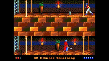 [Sega Genesis] - Prince of Persia - Level 10