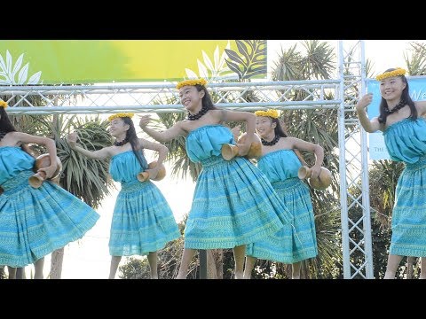 Namolokama Medley　Hula Halau 'O Leilani　vol.5　ALOHA sunset 2018
