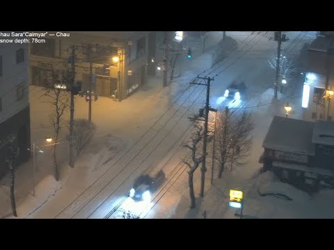 Snowfall in Sapporo, lofi radio 8 hours | March 10, 2024