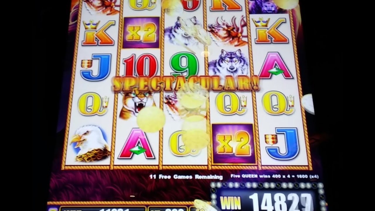 buffalo stampede slot machine tips