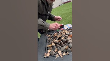 Trusty Sharp-N-Spark starts the Fire www.SharpensBest.com