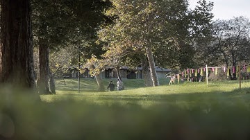 Peter Gilroy - Sun Dream (Official Video)