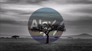 Markus Schulz \u0026 Emma Hewitt - Safe From Harm (Alex H Remix)