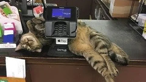 Hardware store 1 hour