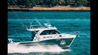 KITTED CAT - Sailfish 3200 Platinum Sports