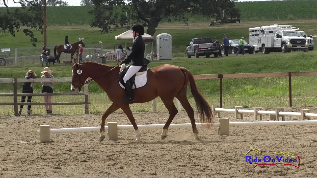 horseshoe bend 163D CHLOE BLACK on Chromatic SR Beginner Novice Dressage Shepherd Ranch June 2019