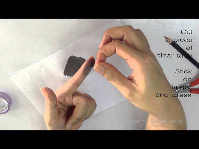 How to make fingerprint - Spark Science Homemade class=