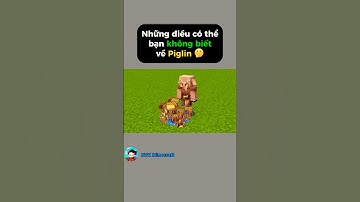 Những điều có thể bạn không biết về Piglin 🤔 #shorts #minecraft