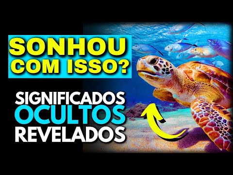 💀 SONHO COM