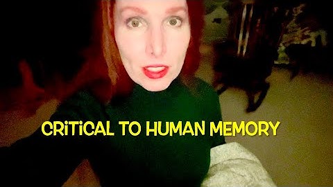 Scientists studying squirrels to advance human brain health