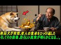 秋田犬が突然、老人の食卓をひっくり返した──そしてその直後、恐ろしい真実が明らかになる…。#感動ストーリー #日本#ゆっくり解説 