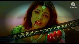 তুই যদি চিনতিস আমায় পরানের পাখি, তোরে লিখে দিতাম আমার এ দুটি আঁখি।