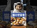 猫の宇宙飛行士任務中に誘惑に負けてしまう #youtube猫動画
