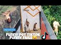 Funny pet fail and funny moment tiktok compilation😆🤣