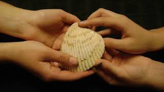 db_2_communicative function of objects