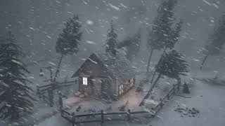 APOCALYPTIC WHITEOUT: EXTREME SNOWSTORM SOUNDS and BRUTAL WINTER STORM for Sleep | Polar Null Zone screenshot 3