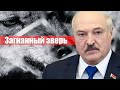 Военный шантаж / Признание Лукашенко / Реальная Беларусь