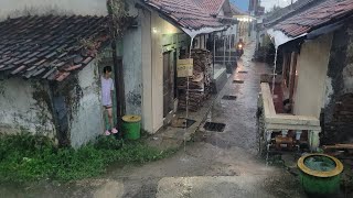 Heavy rain in my hometown | village atmosphere when it rains | walking in heavy rain