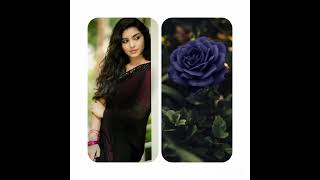 Semparuthi Parvathi Videos - Parvathi Cute Photos - Serial Heroine - Rose Photos - Semparuthi Serial