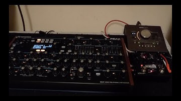 Novation Peak & Source Audio Nemesis