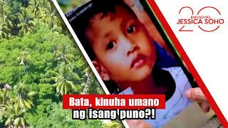 Bata, Kinuha Umano Ng Isang Puno? Kapuso Mo, Jessica Soho