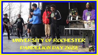 Djaying University of Rochester Dandelion Day 2022 Dr. Griffs djaying events #dday2022 #dandelionday