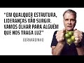 Bernardinho | A RELAÇÃO ENTRE A PERFORMANCE DE UM ATLETA E O EMPREENDEDORISMO