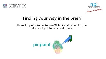 Webinar: Finding your way in the brain - Using Pinpoint to perform  electrophysiology experiments.