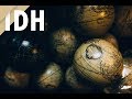O que é o IDH? - Índice de Desenvolvimento Humano