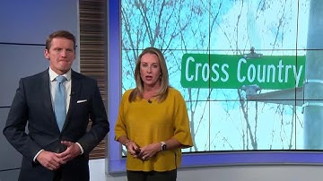 Man in critical condition after crash that killed 3 people and a dog