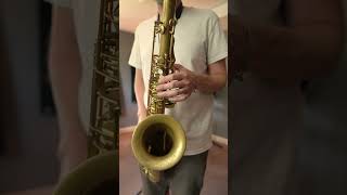 Struttin With Some BBQ - Melodies I Love Episode 2  #saxophone #jazz #shorts #louisarmstrong