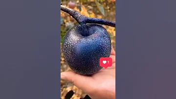 apple black. чёрное яблоко