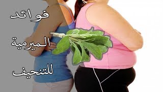 فوائد الميرمية للتنحيف