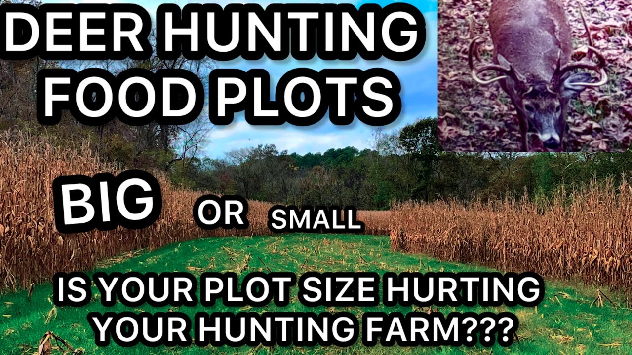 DEER HUNTING FOOD PLOTS....DOES SIZE REALLY MATTER??? THE BEST FOOD ...