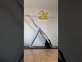 動物ヨガチャレンジ♪最後のできたらスゴい!challenge #yogapose #youtubeshorts
