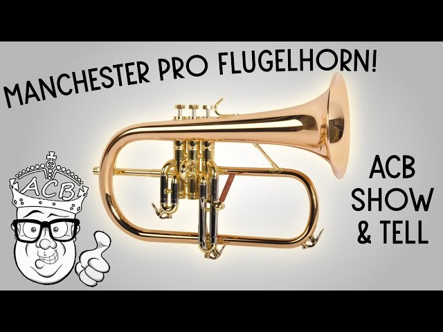 Manchester Brass Professional Bb Trumpet in Clear Lacquer with Gold Brass  Bell