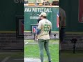 Not What We Expected😂 #dingersornothing #baseball #wiffleball #shorts