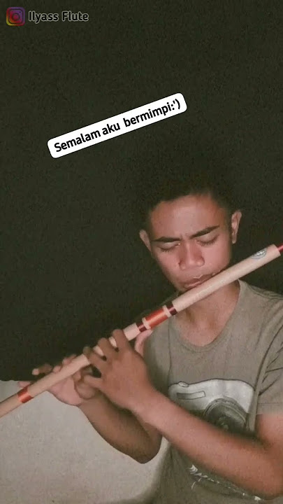 DEAR DIARY FLUTE RINGTONE