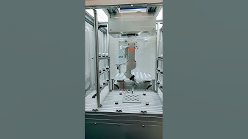 Robot | #automation #robot #sort #shorts #trending #engineering #messe #hamburg I Rapunzel Diaries