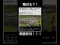 【日本最大級らしい😱】鴨川の山間部にもメガソーラー計画があり「37万本の木を伐採する」と言われている #メガソーラー #釧路湿原 #太陽光パネル #森林伐採 #自民党解体