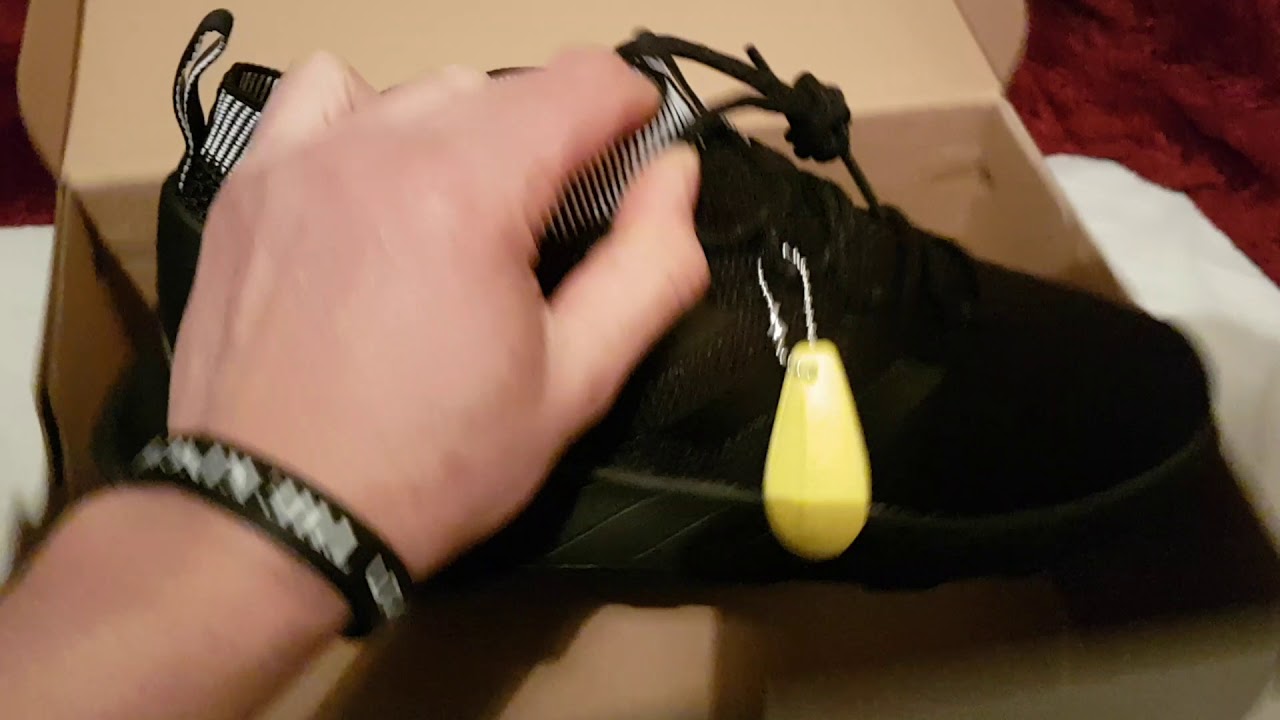 questar rise adidas review