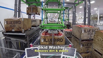 Blue Bird Apple   Commit to Pack